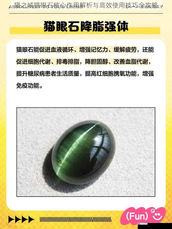 猫之城猫眼石核心作用解析与高效使用技巧全攻略
