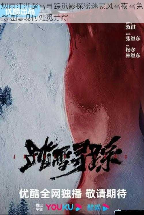 烟雨江湖踏雪寻踪觅影探秘迷蒙风雪夜雪兔踪迹隐现何处觅芳踪