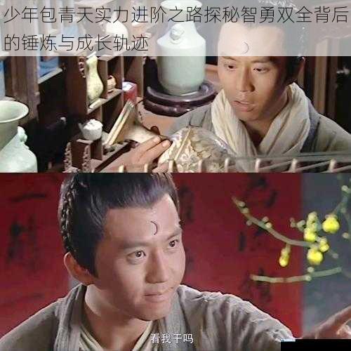 少年包青天实力进阶之路探秘智勇双全背后的锤炼与成长轨迹