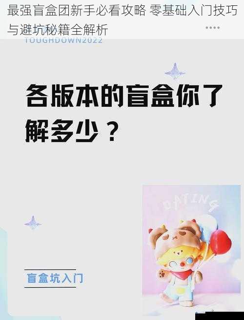 最强盲盒团新手必看攻略 零基础入门技巧与避坑秘籍全解析