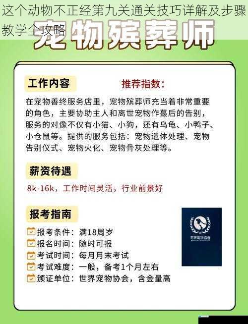 这个动物不正经第九关通关技巧详解及步骤教学全攻略