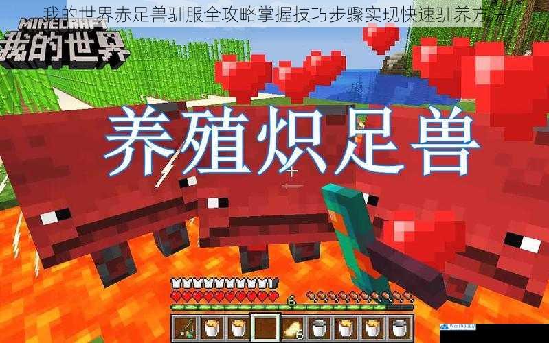 我的世界赤足兽驯服全攻略掌握技巧步骤实现快速驯养方法