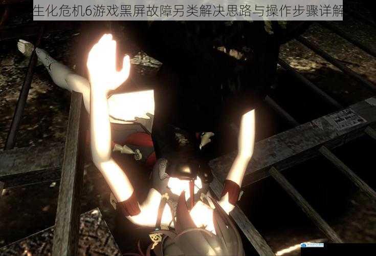 生化危机6游戏黑屏故障另类解决思路与操作步骤详解