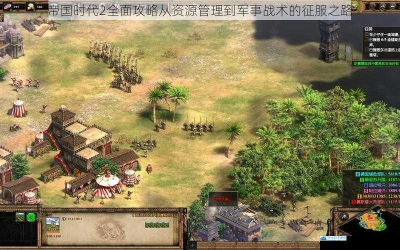 帝国时代2全面攻略从资源管理到军事战术的征服之路