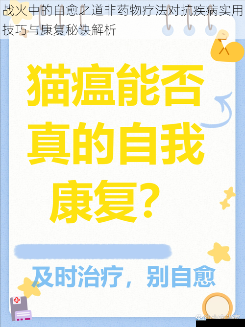 战火中的自愈之道非药物疗法对抗疾病实用技巧与康复秘诀解析