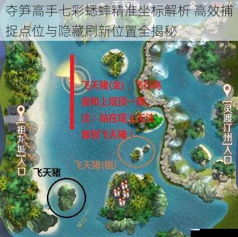 夺笋高手七彩蟋蟀精准坐标解析 高效捕捉点位与隐藏刷新位置全揭秘