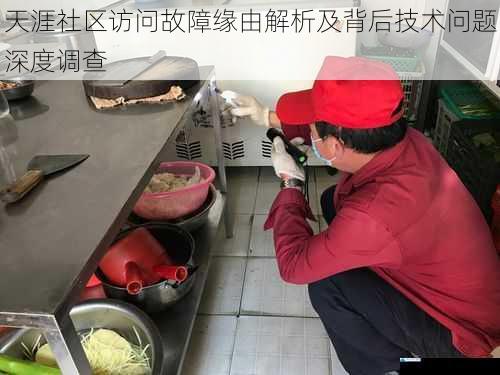 天涯社区访问故障缘由解析及背后技术问题深度调查