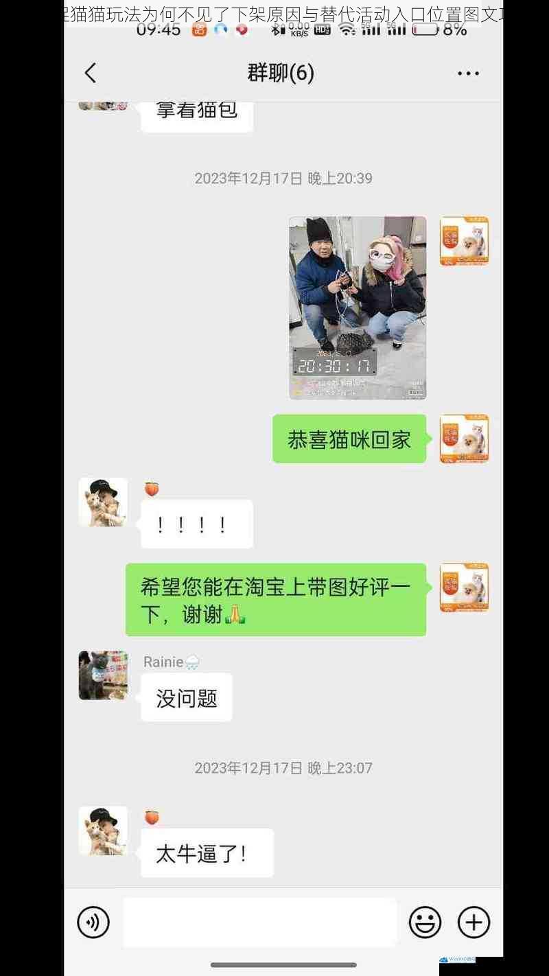 淘宝捉猫猫玩法为何不见了下架原因与替代活动入口位置图文攻略