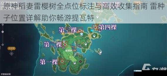 原神稻妻雷樱树全点位标注与高效收集指南 雷种子位置详解助你畅游提瓦特