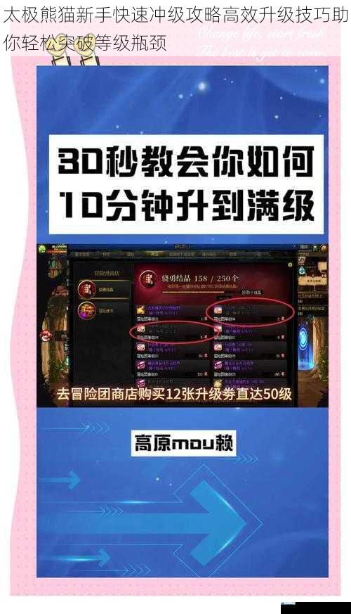 太极熊猫新手快速冲级攻略高效升级技巧助你轻松突破等级瓶颈
