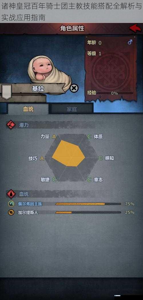 诸神皇冠百年骑士团主教技能搭配全解析与实战应用指南