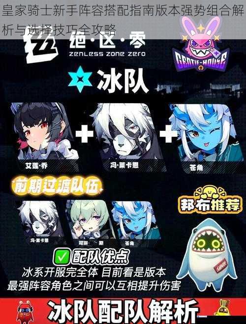 皇家骑士新手阵容搭配指南版本强势组合解析与选择技巧全攻略