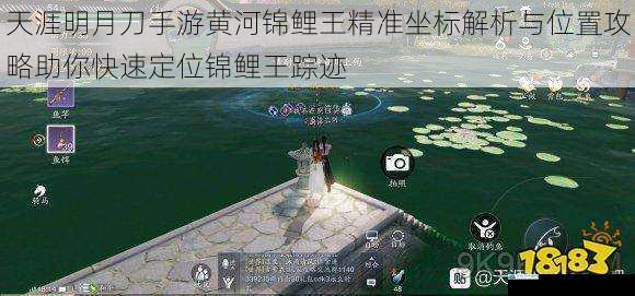 天涯明月刀手游黄河锦鲤王精准坐标解析与位置攻略助你快速定位锦鲤王踪迹