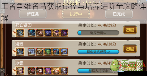 王者争雄名马获取途径与培养进阶全攻略详解