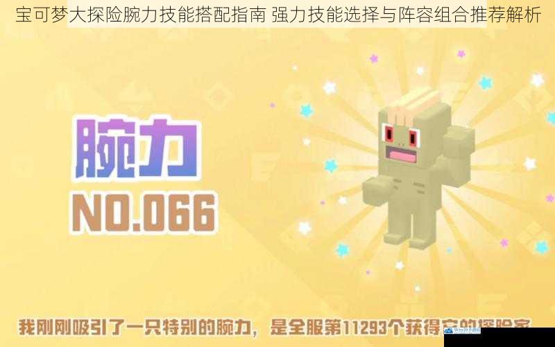 宝可梦大探险腕力技能搭配指南 强力技能选择与阵容组合推荐解析