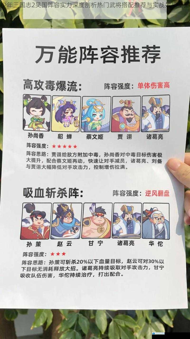 少年三国志2吴国阵容实力深度剖析热门武将搭配推荐与实战效果全面解析