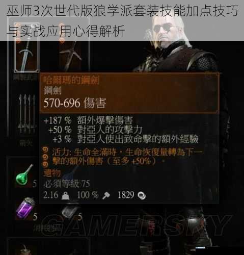 巫师3次世代版狼学派套装技能加点技巧与实战应用心得解析
