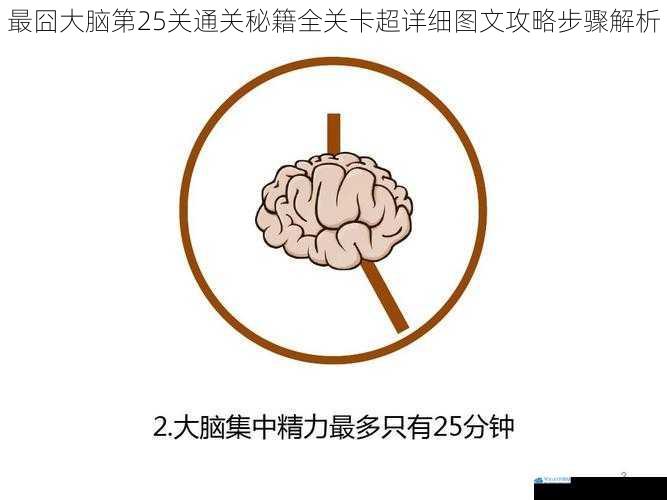 最囧大脑第25关通关秘籍全关卡超详细图文攻略步骤解析