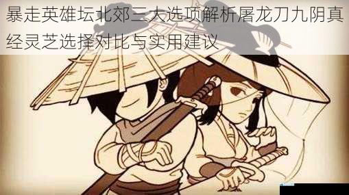 暴走英雄坛北郊三大选项解析屠龙刀九阴真经灵芝选择对比与实用建议