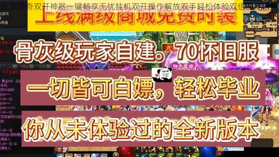 天羽传奇双开神器一键畅享无忧挂机双开操作解放双手轻松体验双倍游戏乐趣