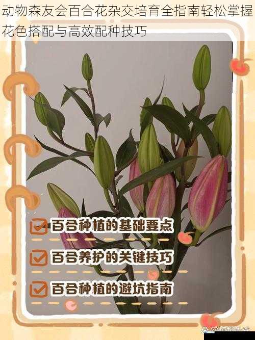 动物森友会百合花杂交培育全指南轻松掌握花色搭配与高效配种技巧