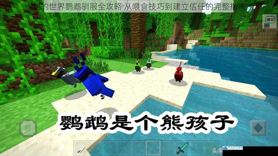 我的世界鹦鹉驯服全攻略 从喂食技巧到建立信任的完整指南