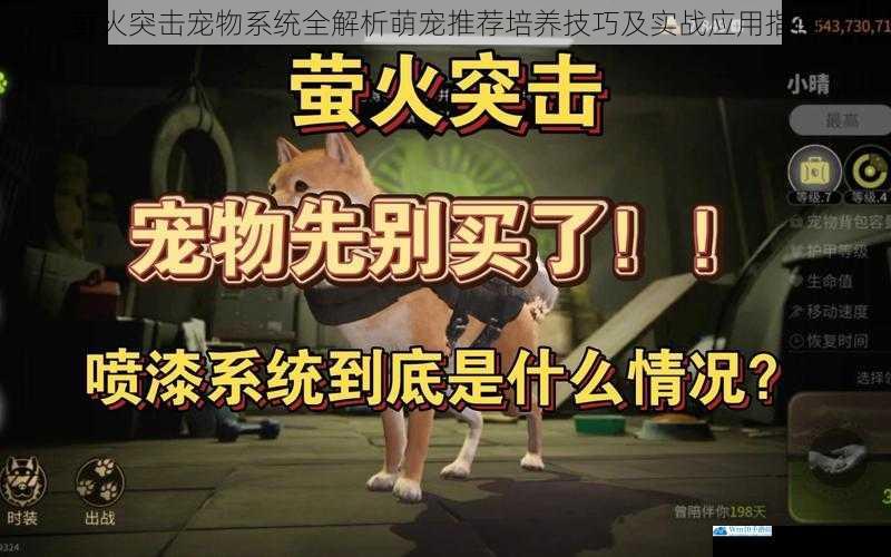 萤火突击宠物系统全解析萌宠推荐培养技巧及实战应用指南