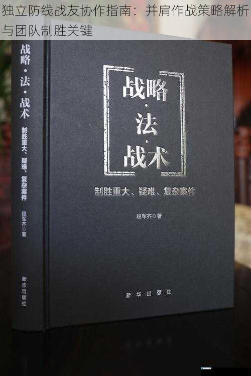 独立防线战友协作指南：并肩作战策略解析与团队制胜关键