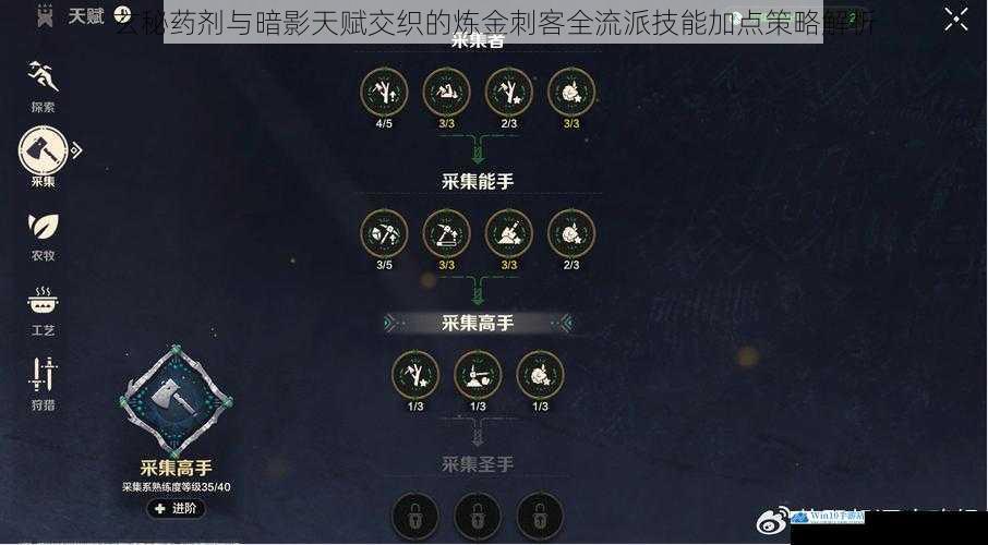 玄秘药剂与暗影天赋交织的炼金刺客全流派技能加点策略解析