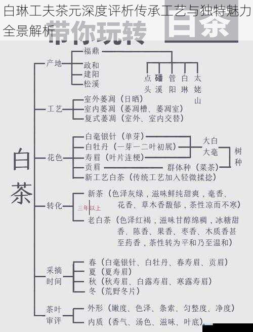 白琳工夫茶元深度评析传承工艺与独特魅力全景解析