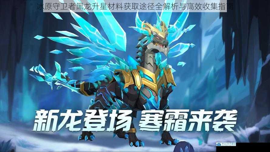 冰原守卫者黑龙升星材料获取途径全解析与高效收集指南