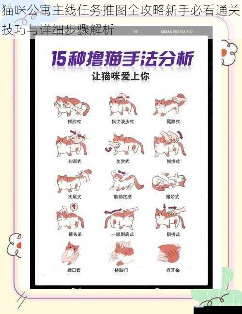 猫咪公寓主线任务推图全攻略新手必看通关技巧与详细步骤解析