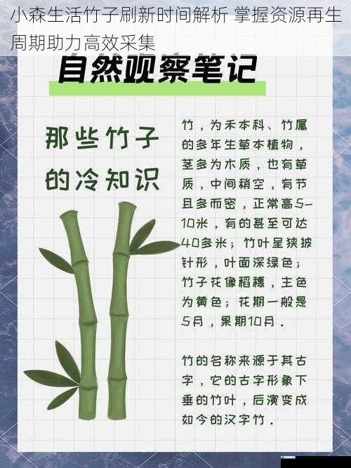 小森生活竹子刷新时间解析 掌握资源再生周期助力高效采集