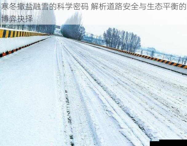 寒冬撒盐融雪的科学密码 解析道路安全与生态平衡的博弈抉择