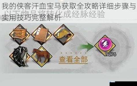 我的侠客汗血宝马获取全攻略详细步骤与实用技巧完整解析