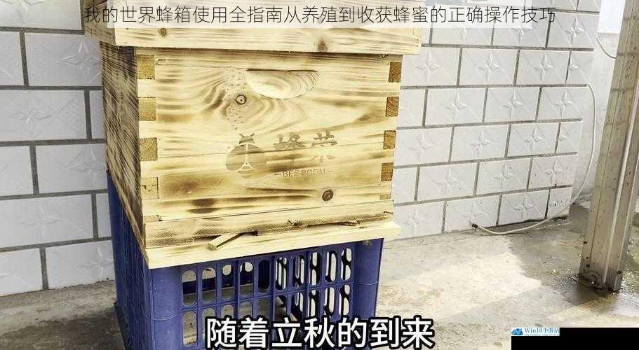 我的世界蜂箱使用全指南从养殖到收获蜂蜜的正确操作技巧