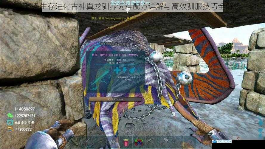 方舟生存进化古神翼龙驯养饲料配方详解与高效驯服技巧全解析