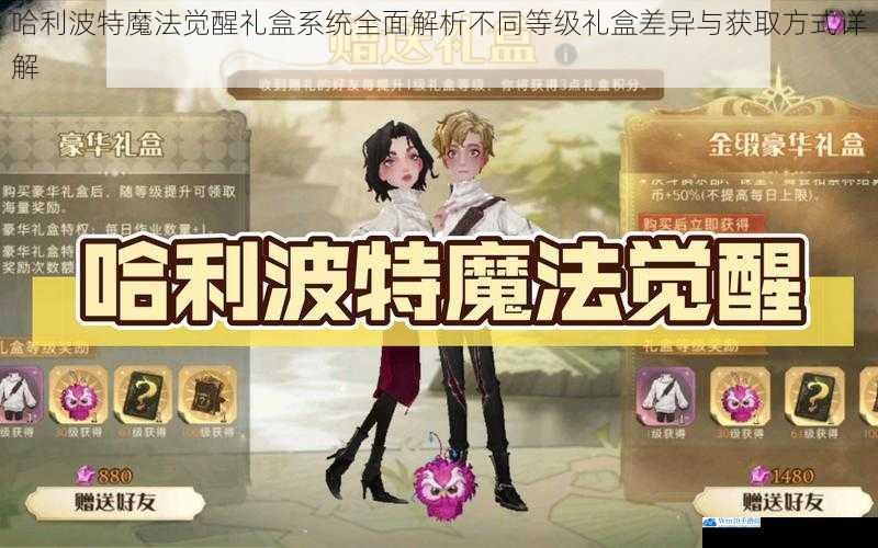 哈利波特魔法觉醒礼盒系统全面解析不同等级礼盒差异与获取方式详解