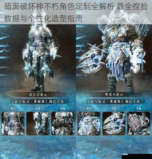 暗黑破坏神不朽角色定制全解析 最全捏脸数据与个性化造型指南