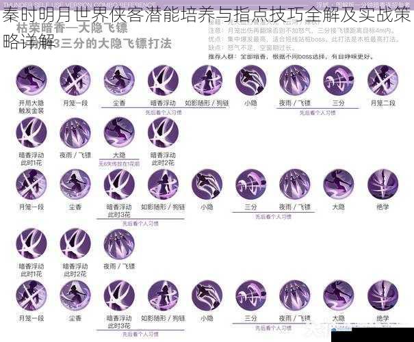 秦时明月世界侠客潜能培养与指点技巧全解及实战策略详解