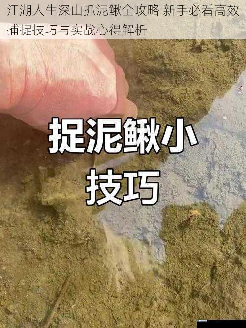 江湖人生深山抓泥鳅全攻略 新手必看高效捕捉技巧与实战心得解析