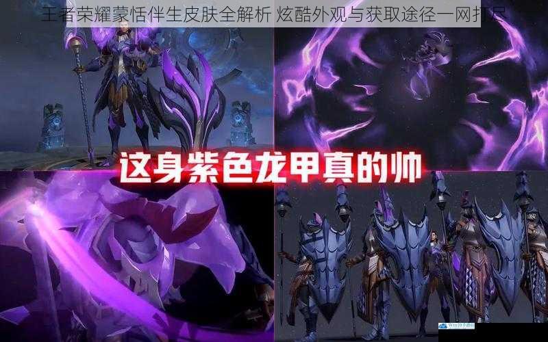 王者荣耀蒙恬伴生皮肤全解析 炫酷外观与获取途径一网打尽