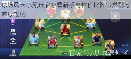 球场风云小氪玩家必看新手高性价比阵容搭配与养成攻略