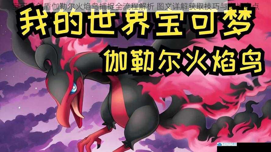 宝可梦剑盾伽勒尔火焰鸟捕捉全流程解析 图文详解获取技巧与实战要点