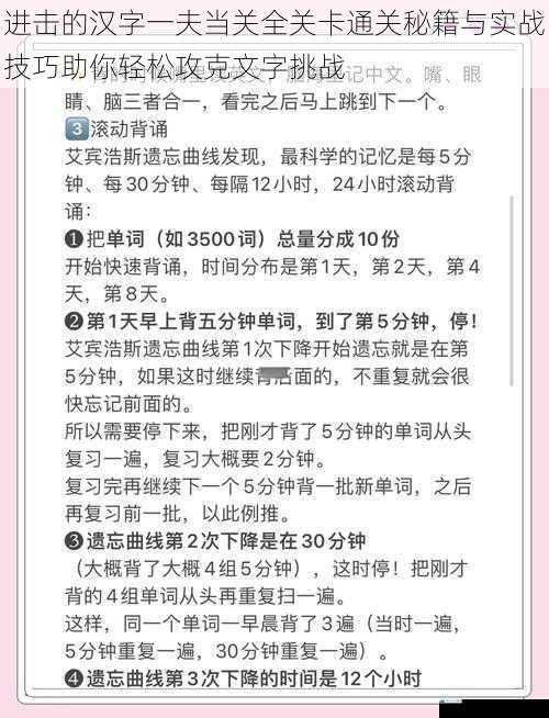 进击的汉字一夫当关全关卡通关秘籍与实战技巧助你轻松攻克文字挑战