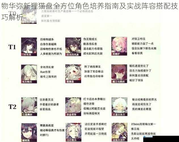 物华弥新狸猫盘全方位角色培养指南及实战阵容搭配技巧解析