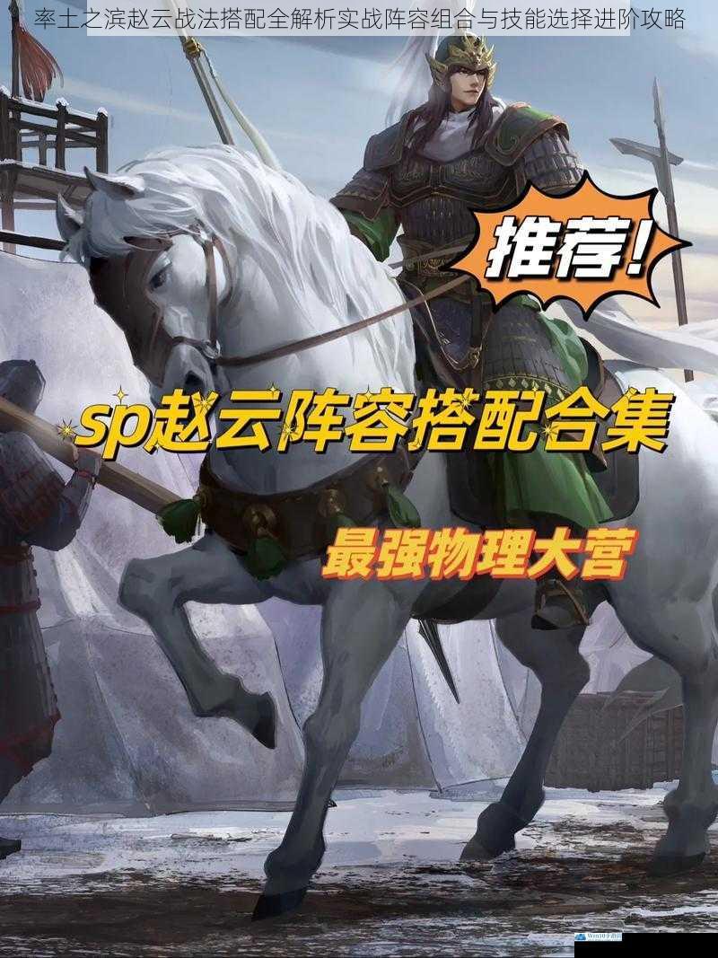 率土之滨赵云战法搭配全解析实战阵容组合与技能选择进阶攻略