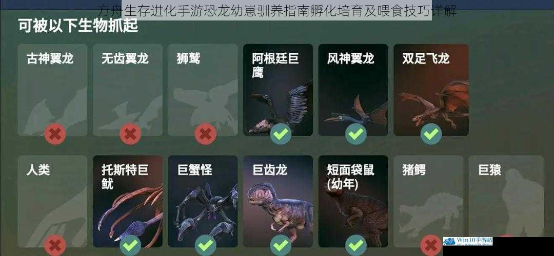 方舟生存进化手游恐龙幼崽驯养指南孵化培育及喂食技巧详解