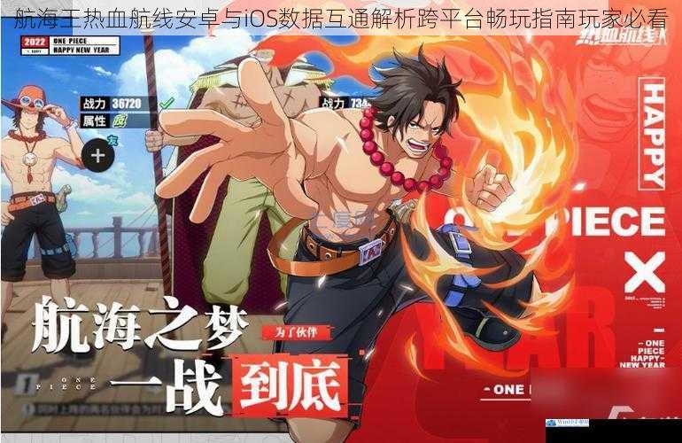 航海王热血航线安卓与iOS数据互通解析跨平台畅玩指南玩家必看