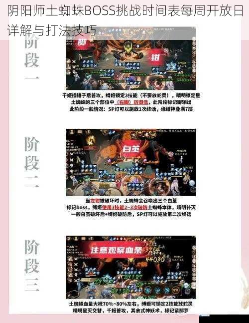 阴阳师土蜘蛛BOSS挑战时间表每周开放日详解与打法技巧